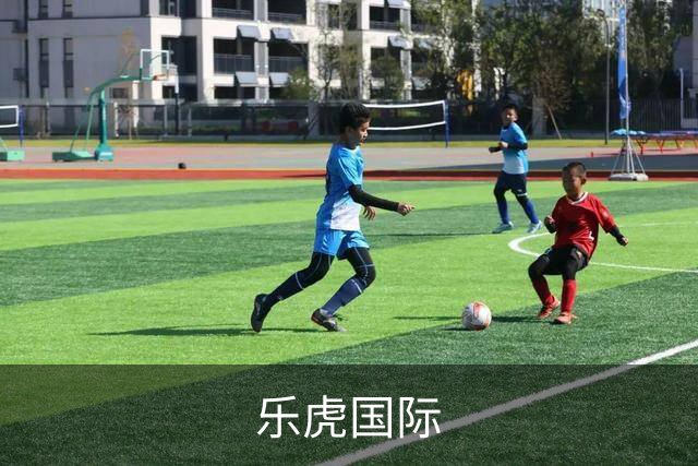 乐虎国际 公司简介